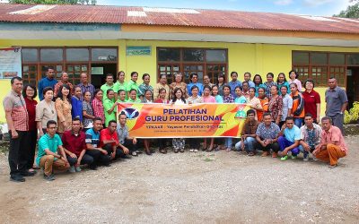Pelatihan Guru Profesional